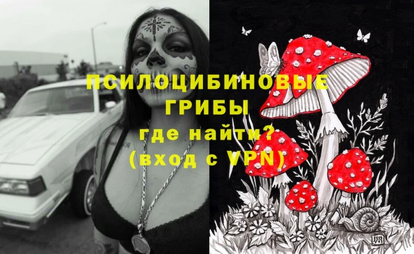 амф Новокубанск