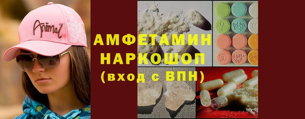 СК Новозыбков