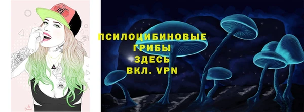 СК Новозыбков
