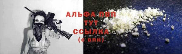 СК Новозыбков