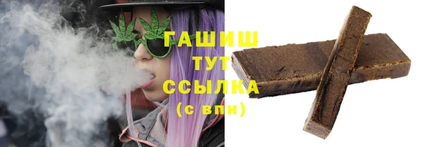 СК Новозыбков