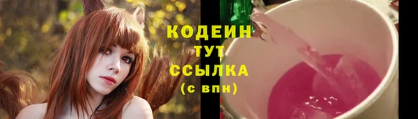 амф Новокубанск
