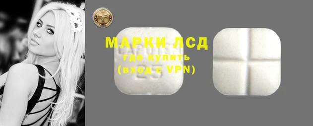 амф Новокубанск
