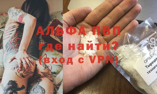 амф Новокубанск