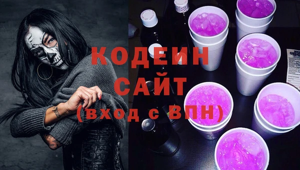 СК Новозыбков