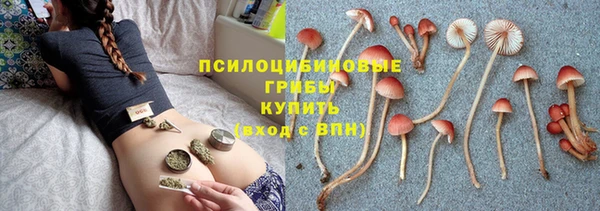 СК Новозыбков