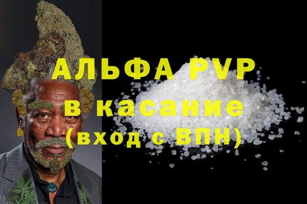 СК Новозыбков