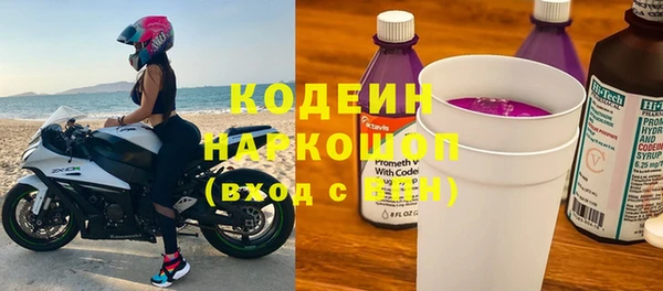СК Новозыбков