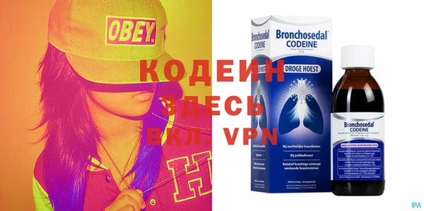 СК Новозыбков